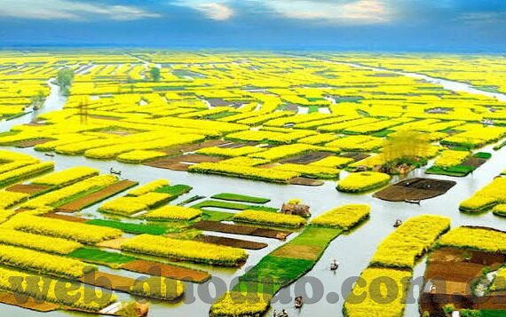 中韩足球历届比分-中韩足球交锋史，从惨败到抗衡，那些刻骨铭心的比分背后